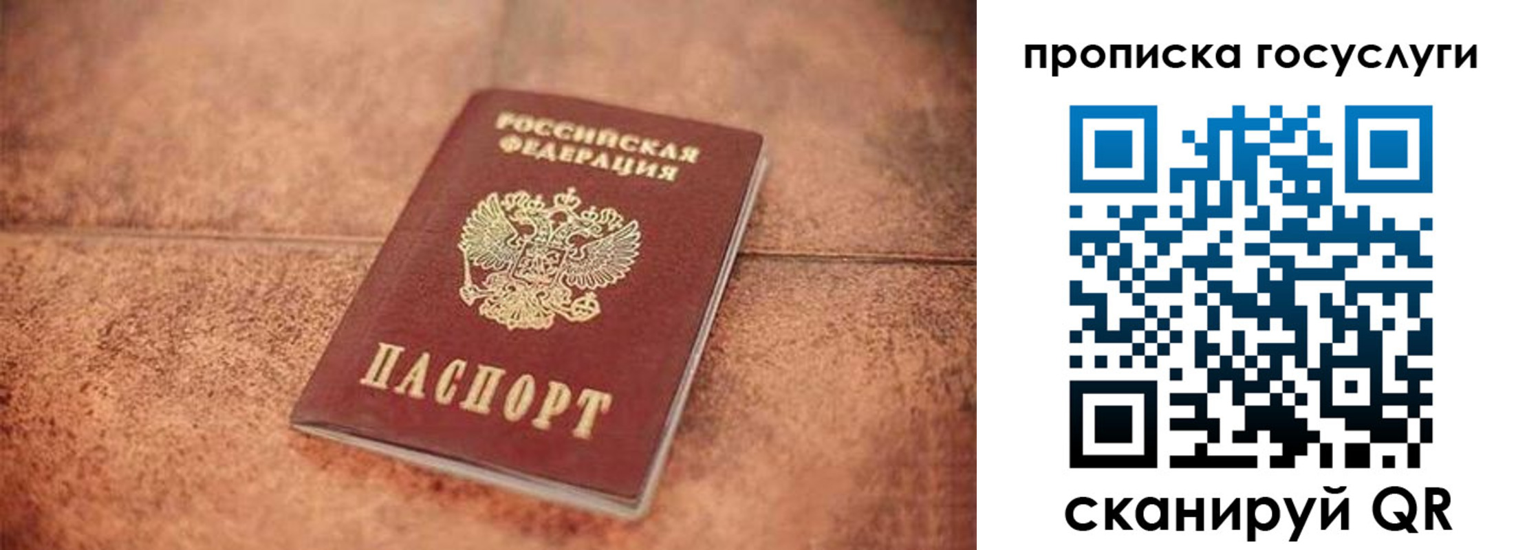 прописка законно в Ногинске